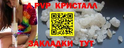 гидра Долгопрудный