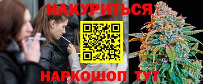 твердый Бийск