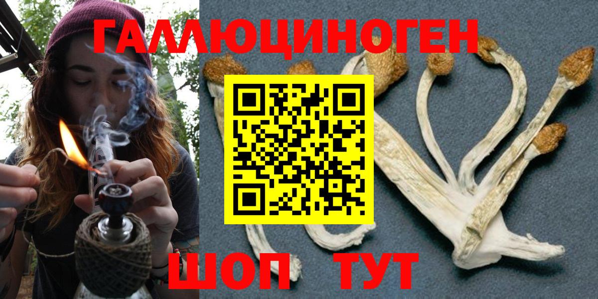 Галлюциногенные грибы Cubensis Ишимбай
